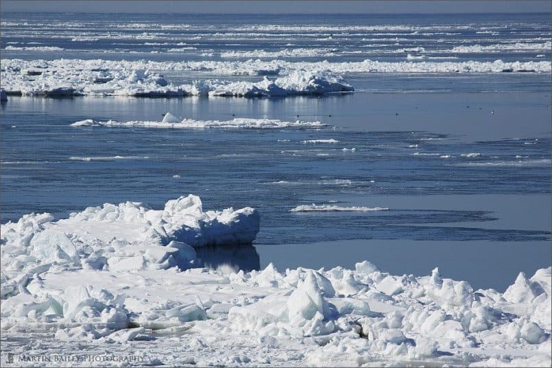 Drift Ice