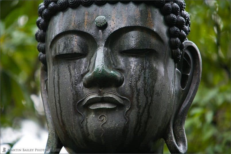 Crying Buddha