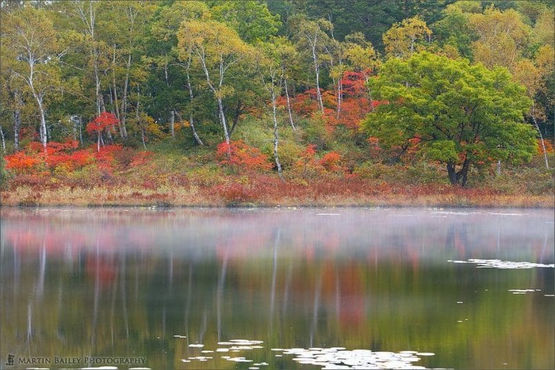 Ichinuma (Pond) 2007 #5