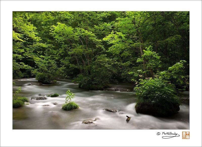 Oirase Mountain Stream