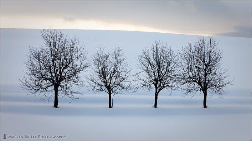 Four Trees