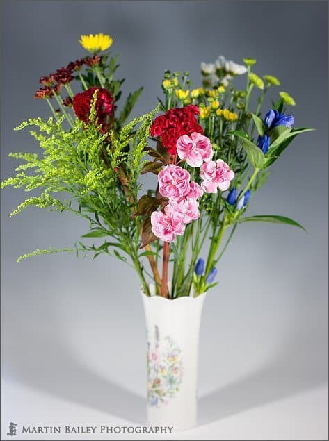 Flowers, Shot Under Orange Gelled (Tungsten) Lights