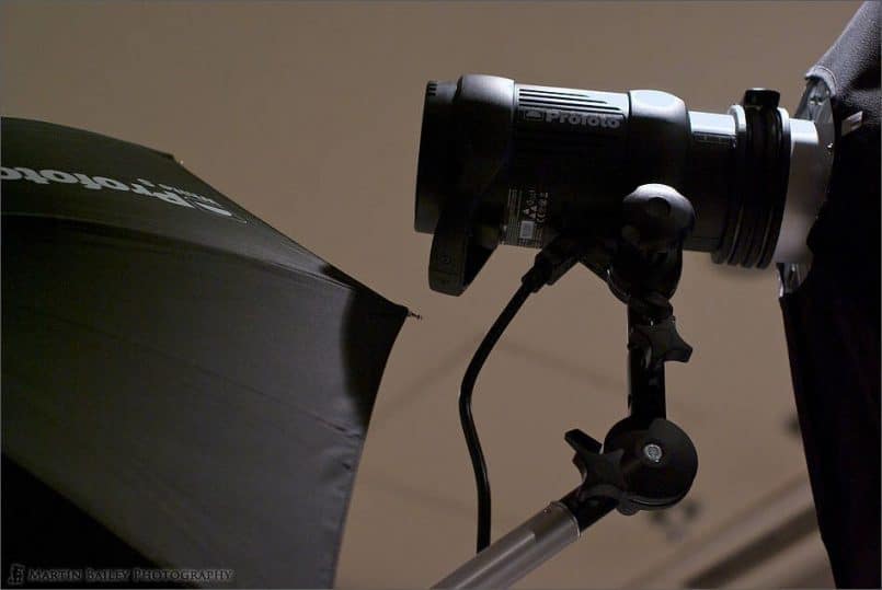 Profoto D1 500W/S Monolight (© Jesse Davis)