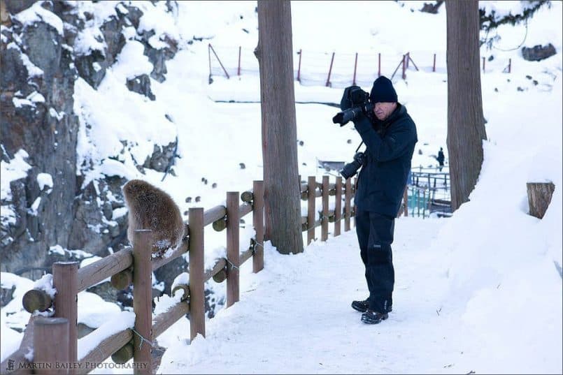 Richard Photographing a Snow Monkey