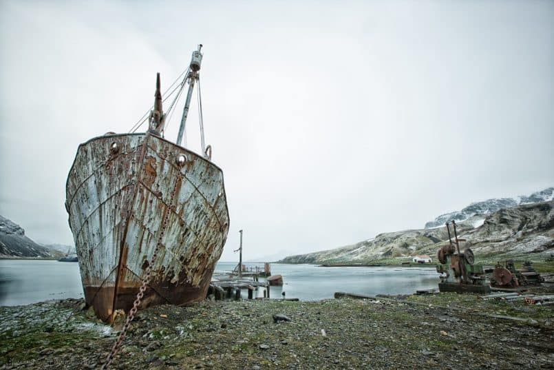 Abandoned "Petrel"