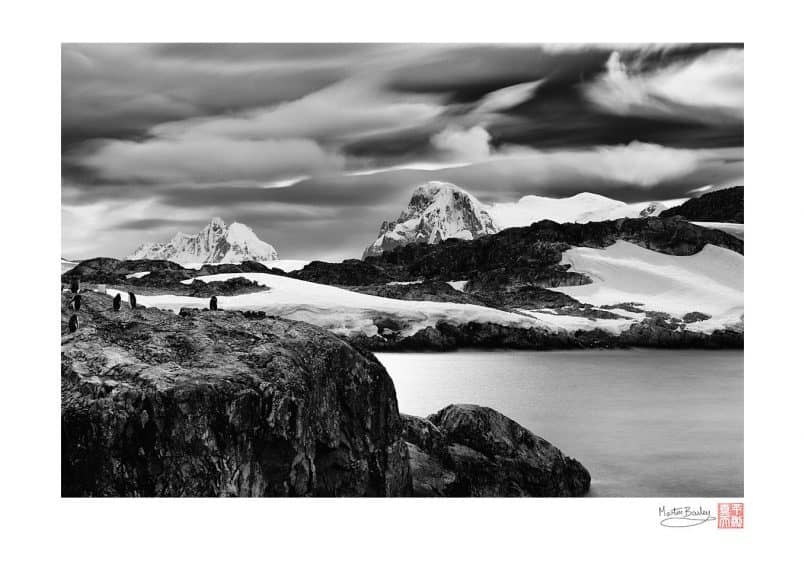 Gentoo Point - Antarctica