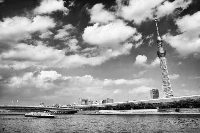 Himiko with Sky Tree