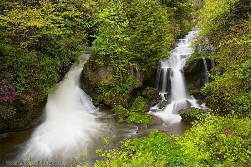 Ryuuzu Falls with Azalea