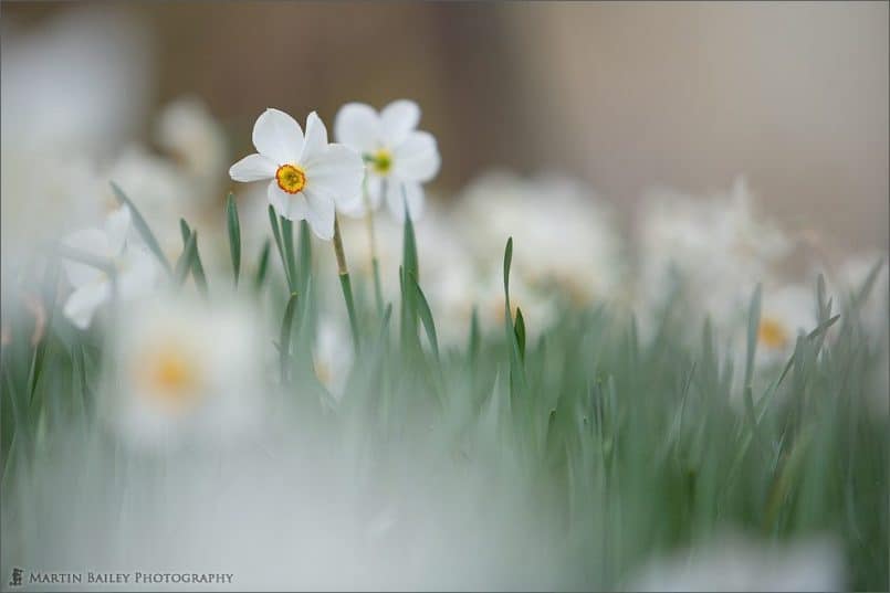 Hitachi Park #19