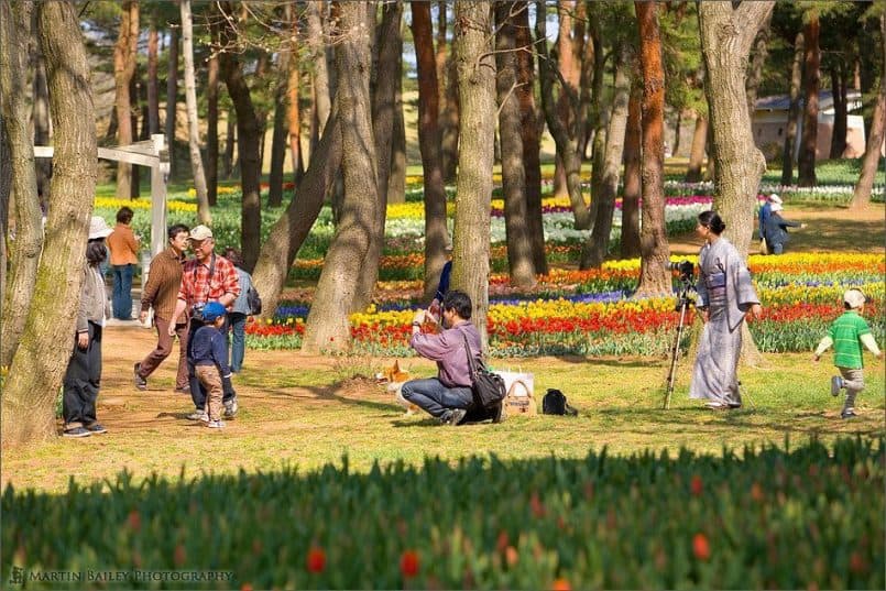 Day in the Park