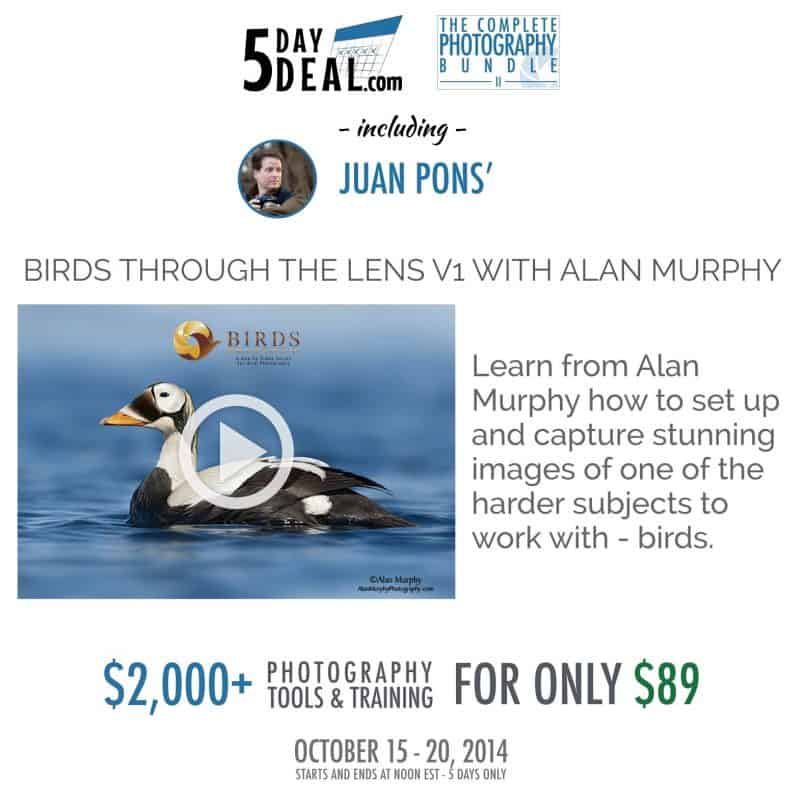 5DayDeal-Juan-Pons-Feature