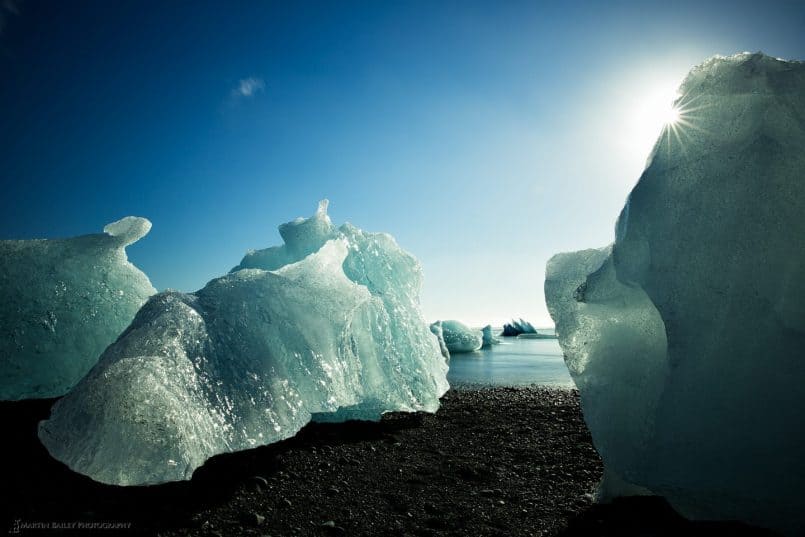 Beached Growlers at Jökulsárlón