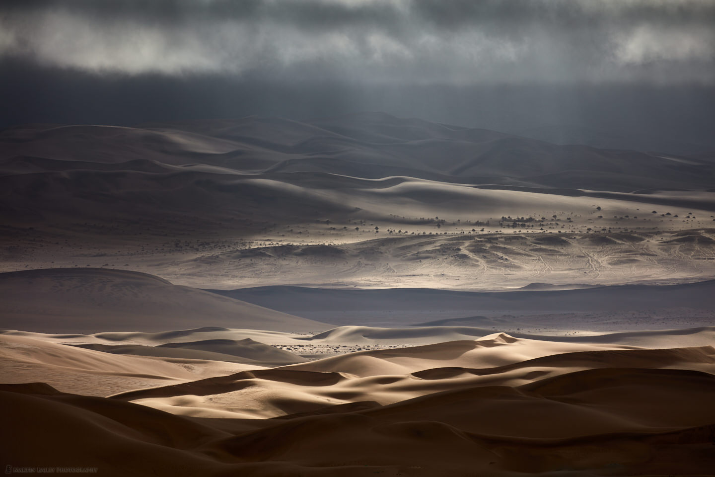 Desert Sunbeams