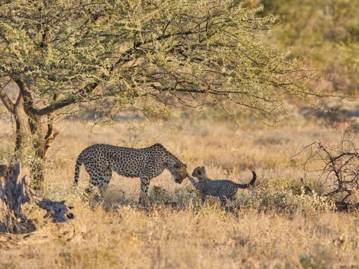 Namibia