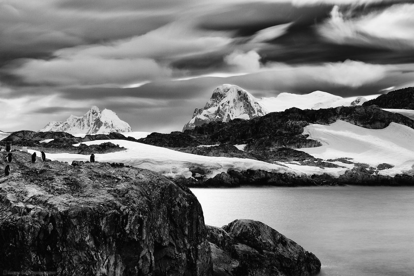 Gentoo Point - Antarctica