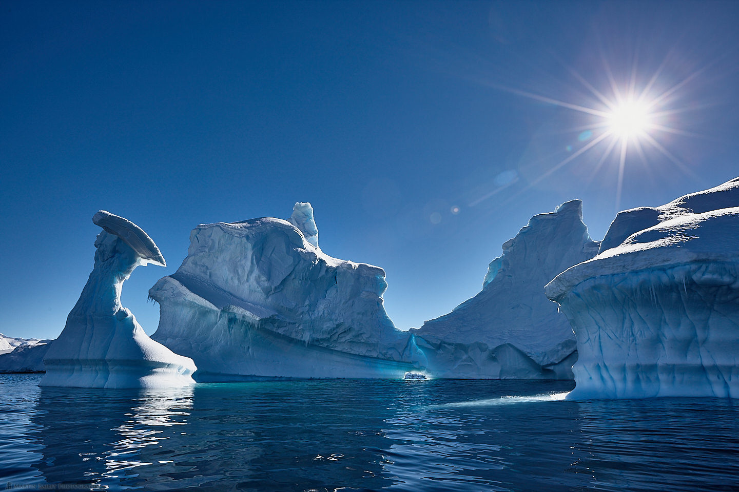 Portal Point Icebergs