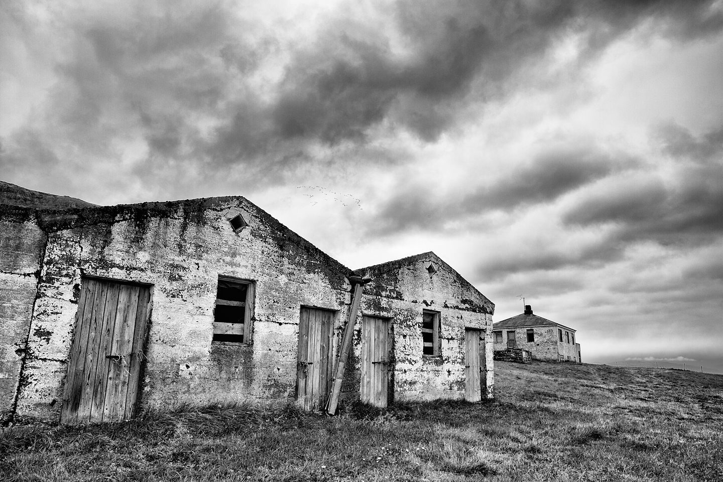 Abandoned Farm with Geese in Flight