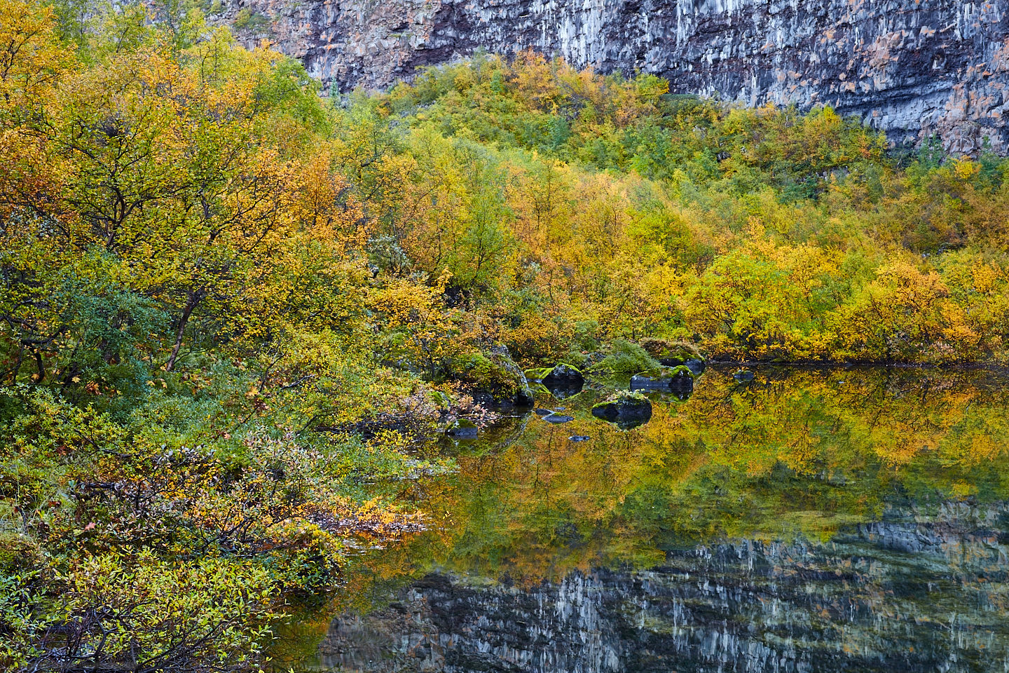 Asbyrgi Reflection