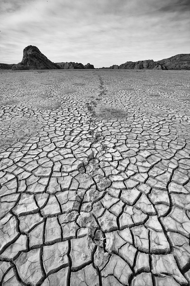 Guanaco Footprints