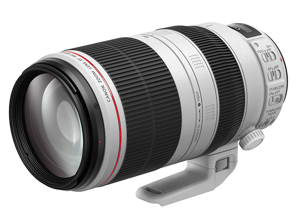 Finally! The Canon EF 100-400mm f/4.5-5.6L IS II USM Lens ...