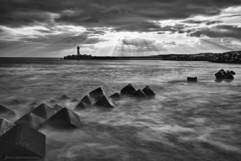 Ohmu Tetrapods at Dawn