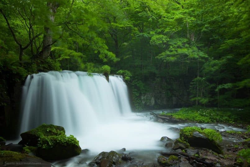 Oirase Choushi Ootaki (Big Falls)