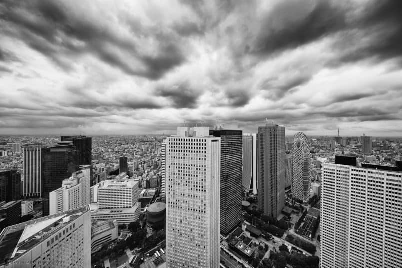 The Cocoon from Tokyo Metropolitan Government Building