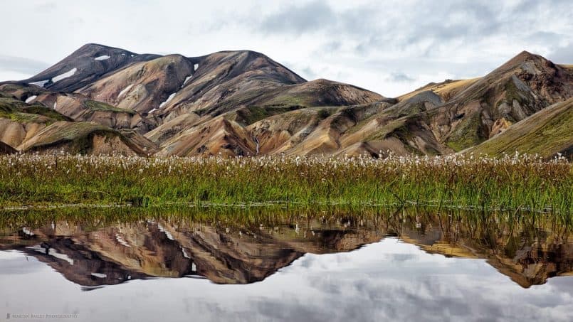 Landmannalaugar with Cotton Grass Reflection