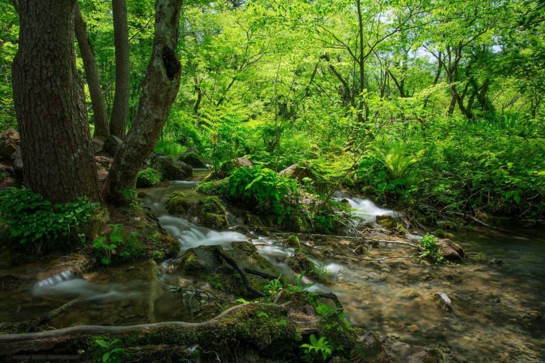 Goshikinuma Stream