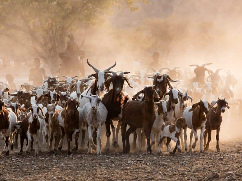 Namibia 4K Slideshow