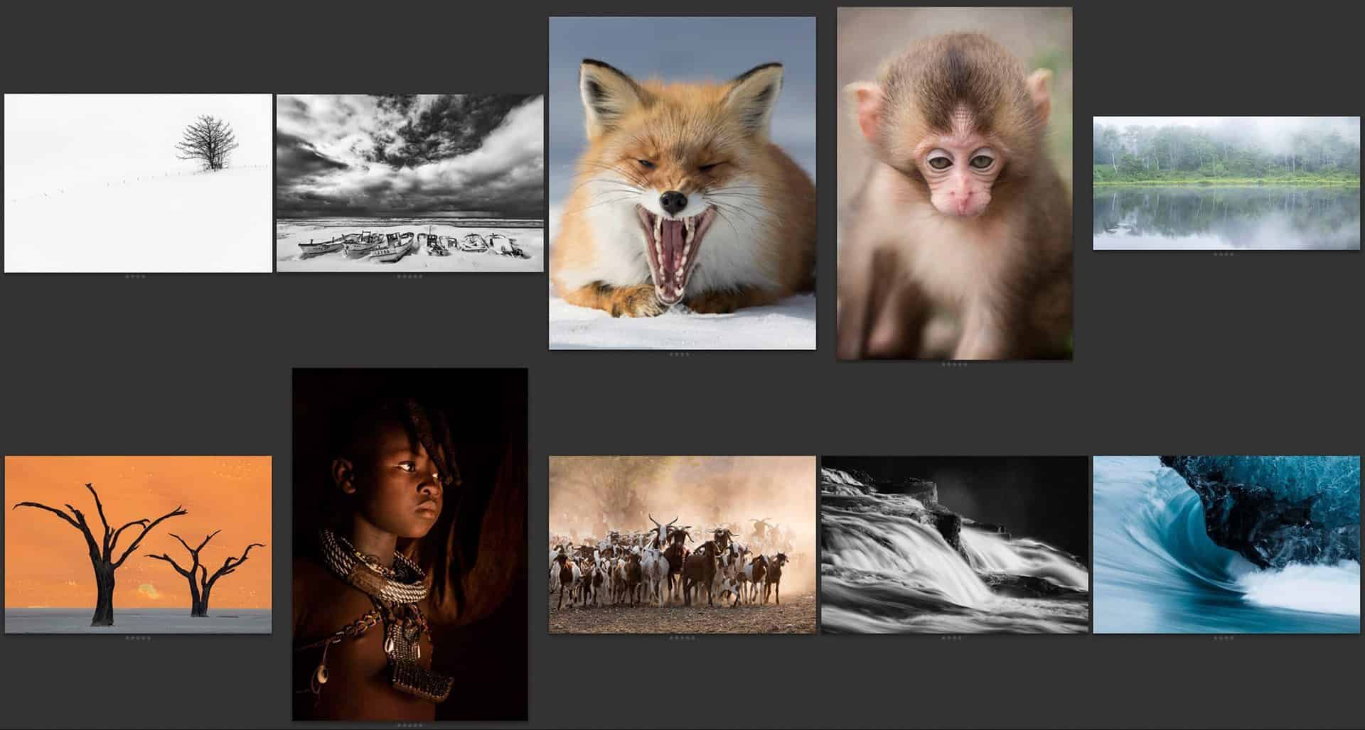 Martin’s 2015 Top Ten Photographs (Podcast 505)