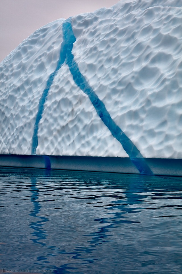 Iceberg Blue Streak