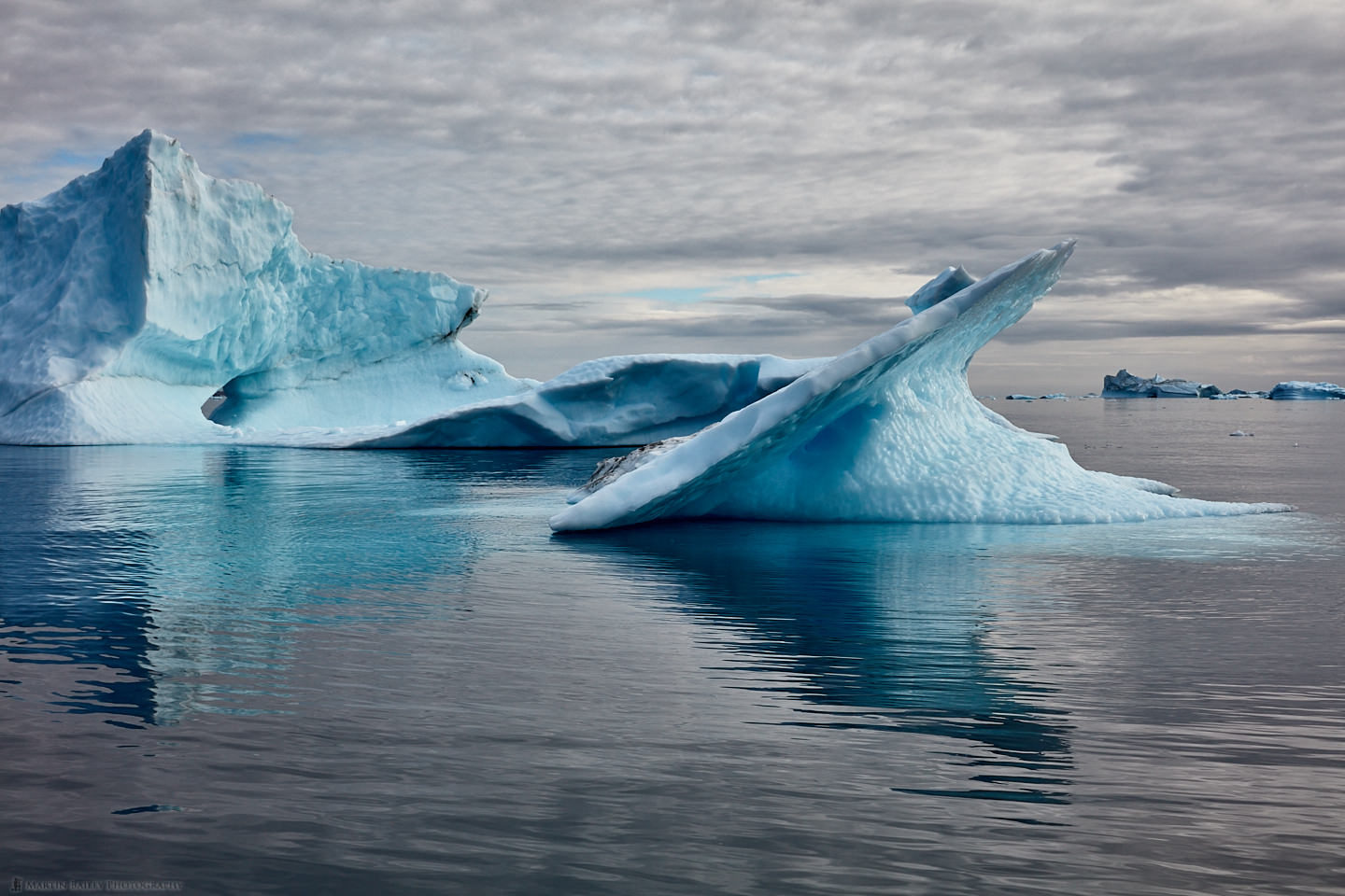 Icebergs on Sermilik Fjord