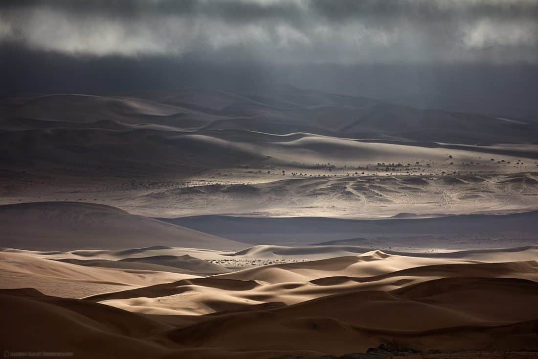 Desert Sunbeams