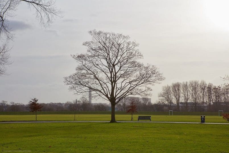 Tree and Power Station at 70mm