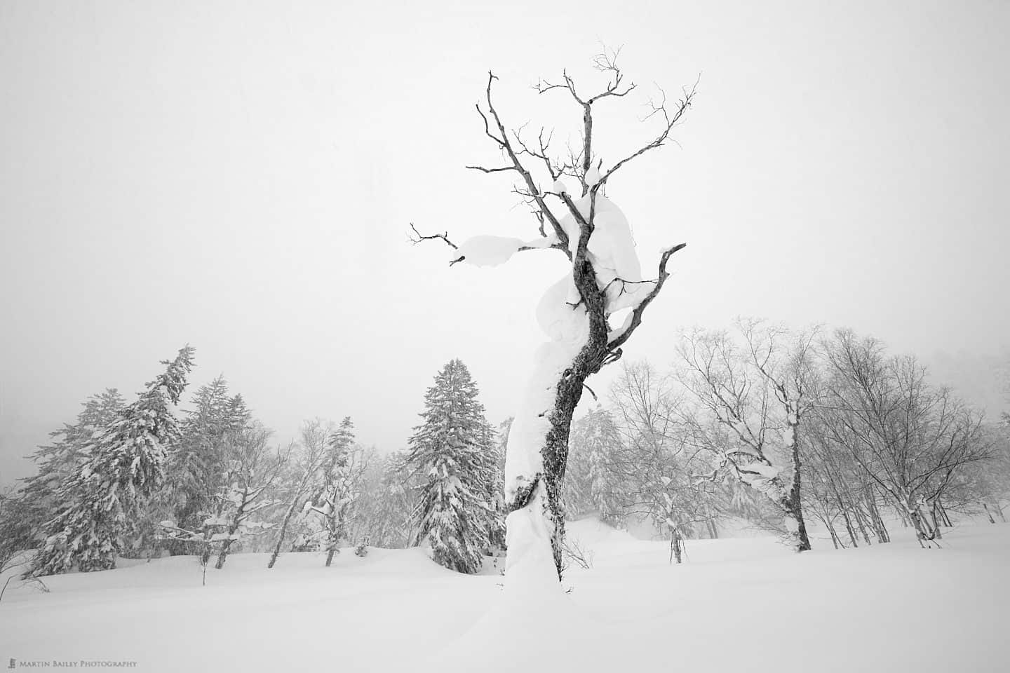 Hokkaido Winter Landscape Photography Adventure 2024 | Martin 
