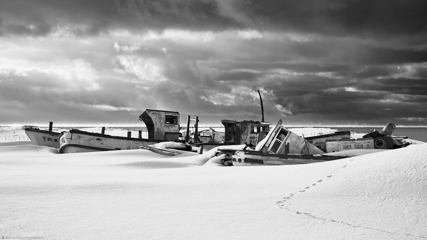 Boat Graveyard with Fox Footprints