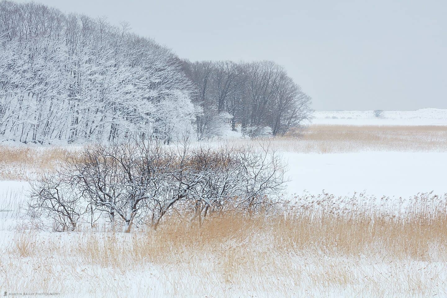 春夏新作 冬 f-565 WINTER ※4 アウトドア 風景 自然 写真集 北海道 