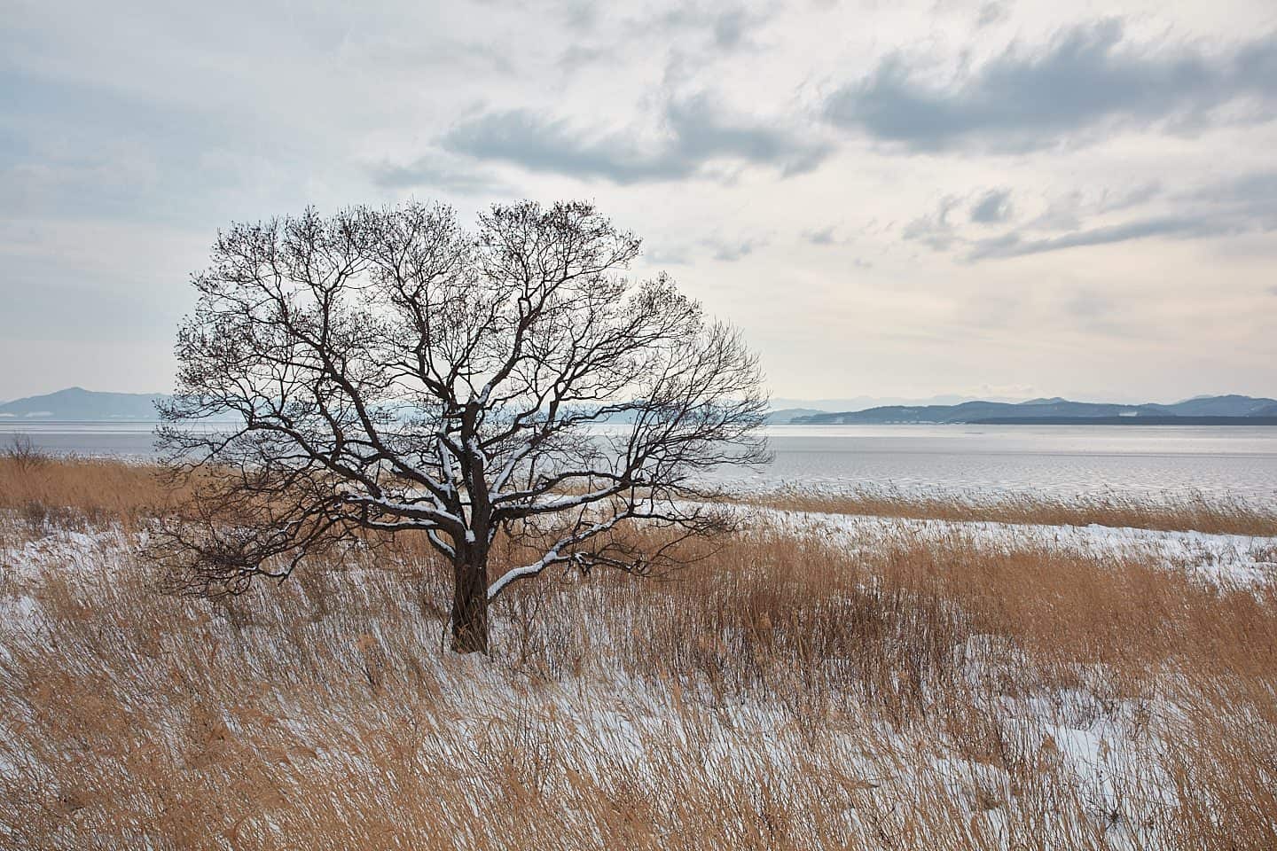 Hokkaido Winter Landscape Photography Adventure 2024 | Martin 