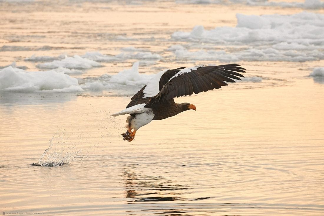 Fishing in Dawn's Warm Glow