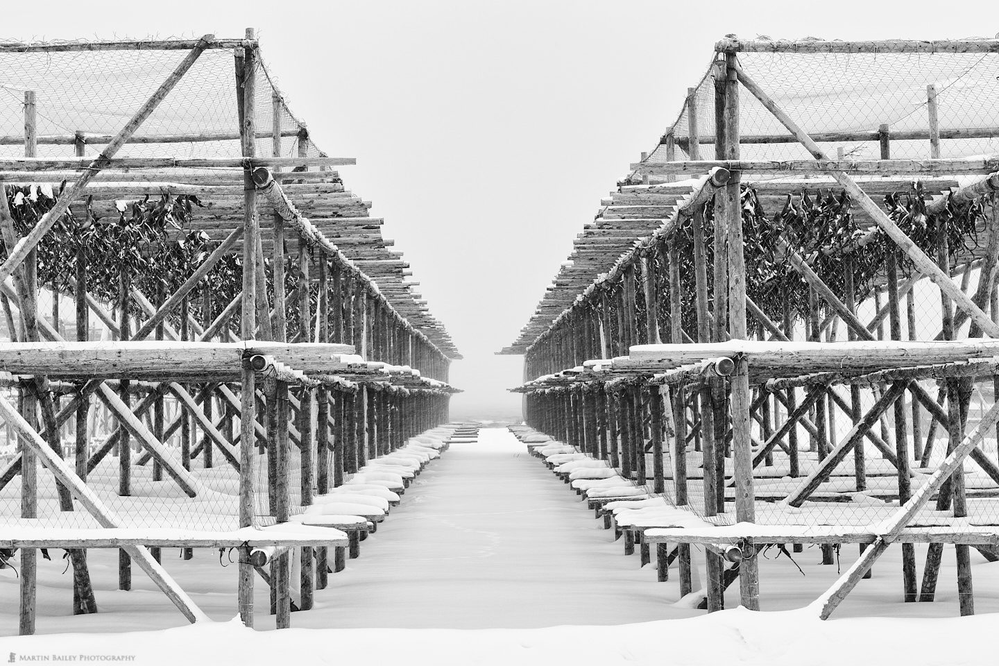 Fish Drying Racks in Snow