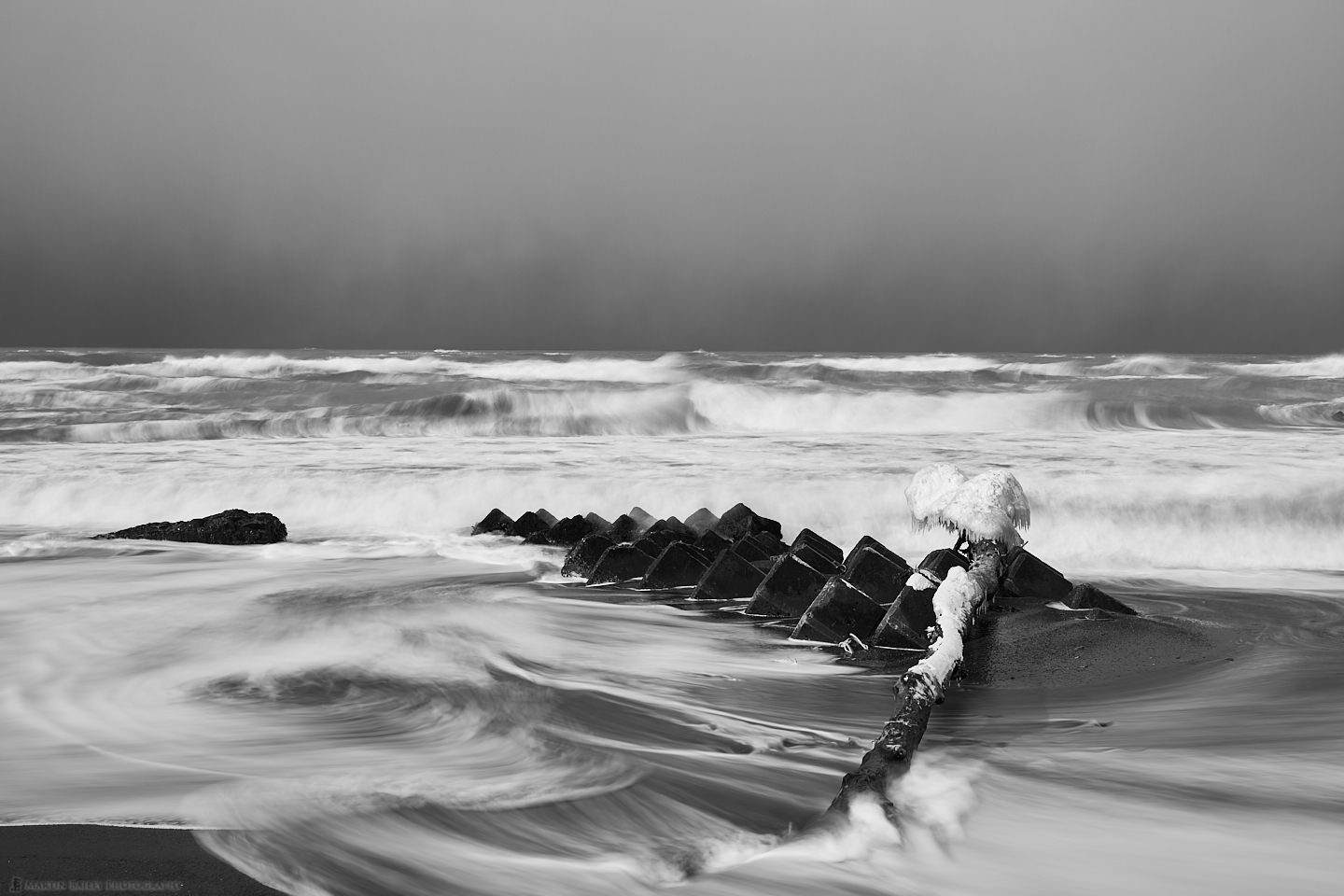 Obira Tetrapods with Tree Trunk