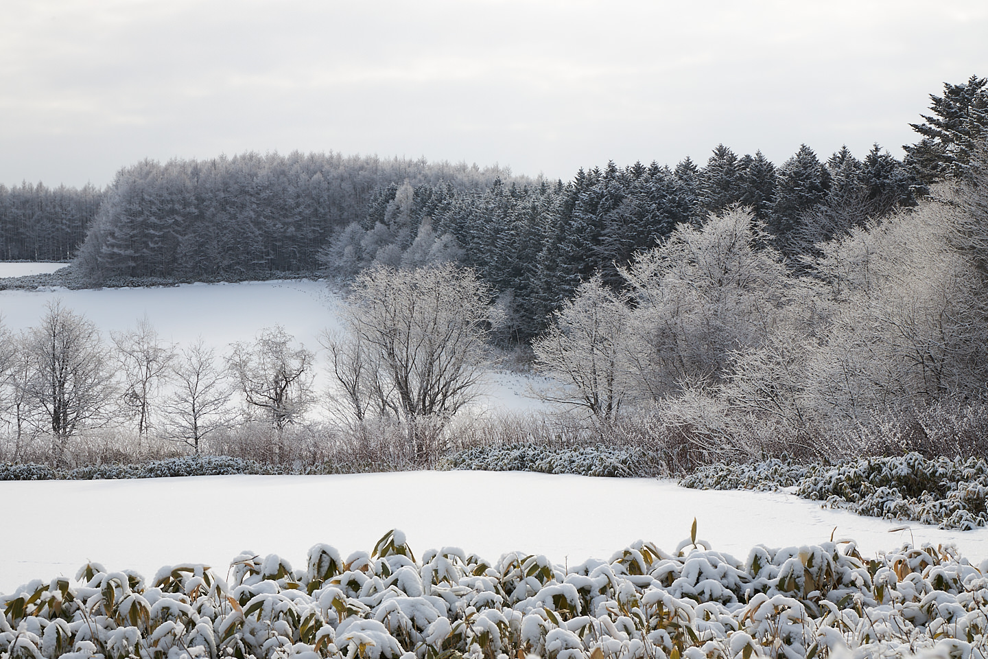 Hokkaido Winter Landscape Tour 2020 Travelogue 3 (Podcast 695)