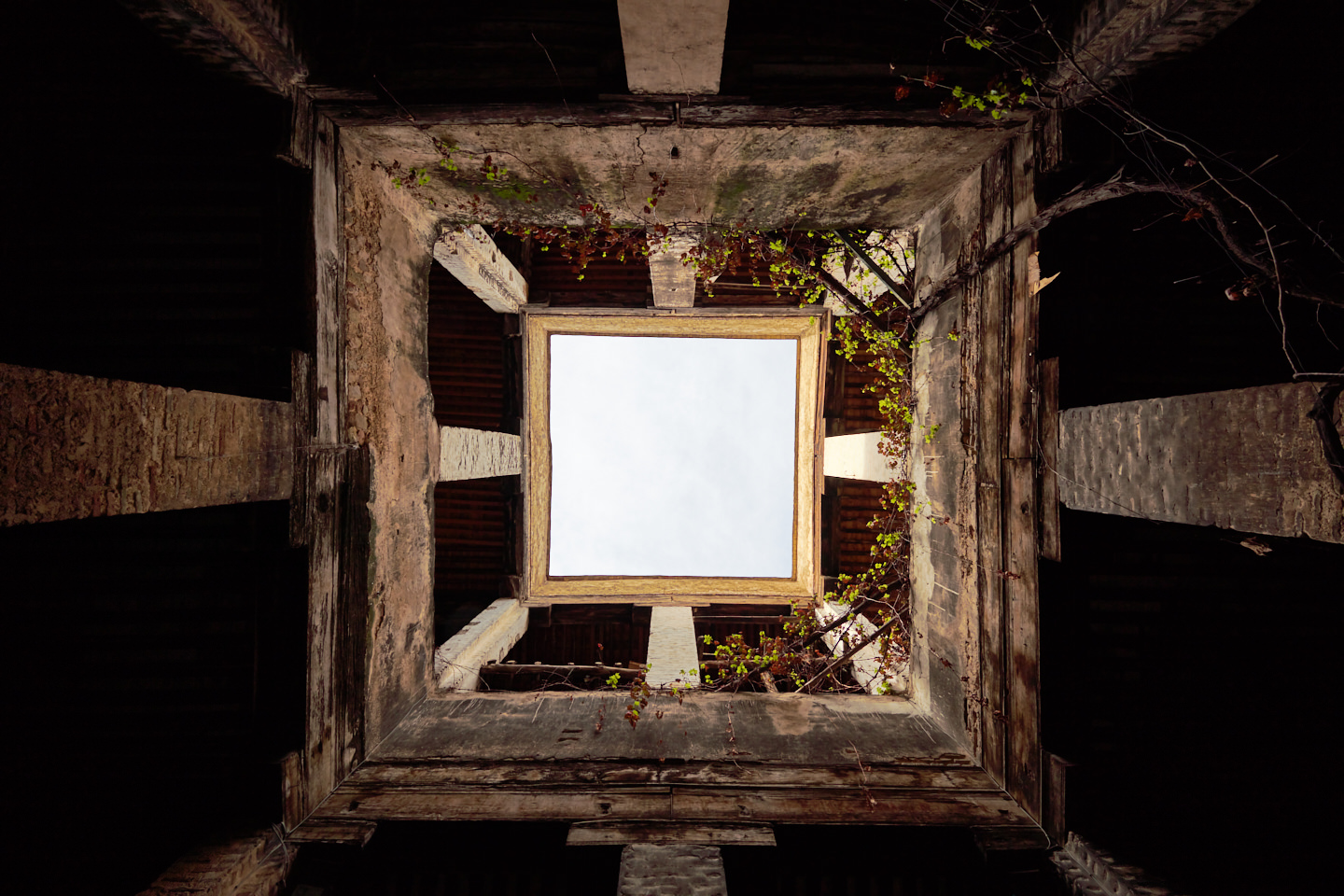 Weaving Workshop Skylight