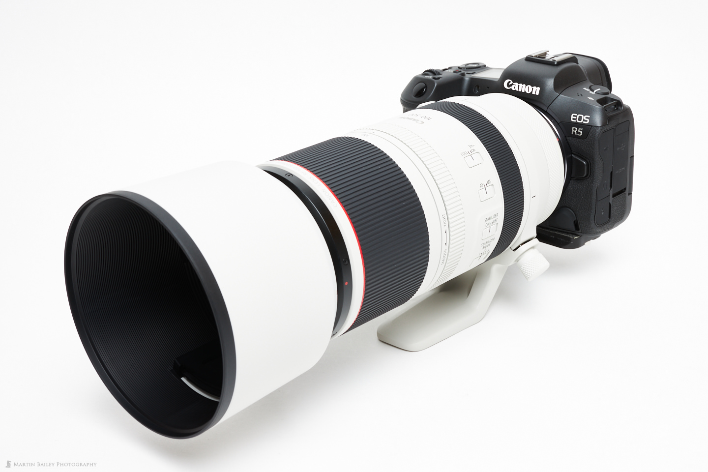 Canon EOS R6 Mark II + RF 100-500mm f/4.5-7.1 L IS USM
