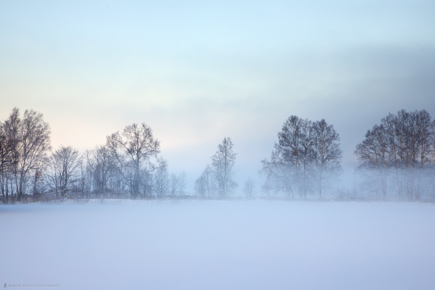 The Morning Mist in Biei