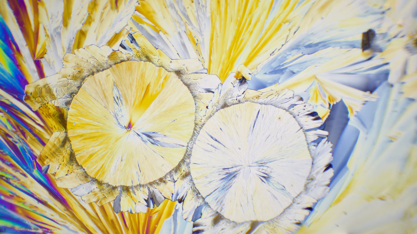 We've Got This! (Citric Acid Crystals 2 Photo Stitch 100X 27 Frames)