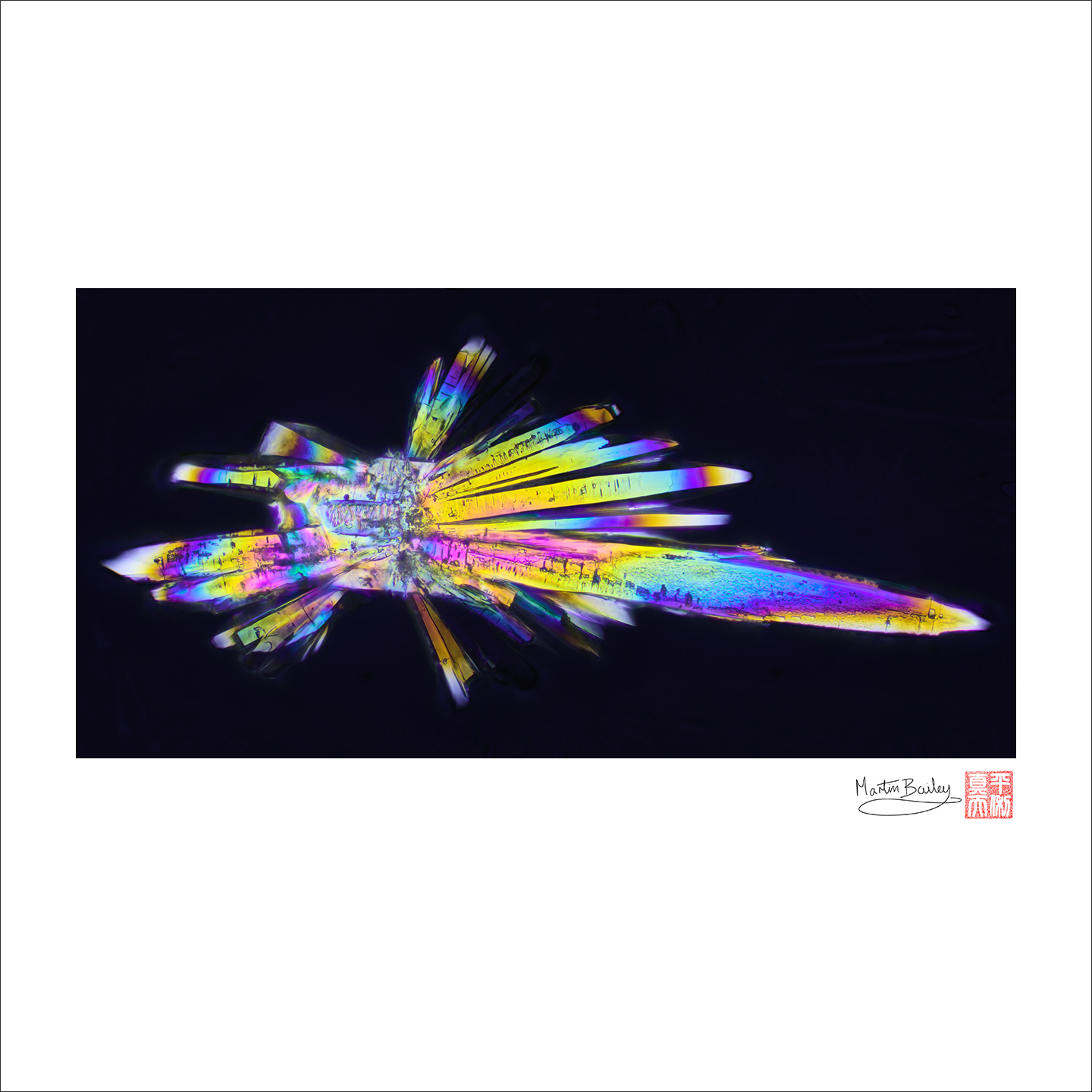 Sodium Sulfite Crystals (Polarized 100X 22 frms)