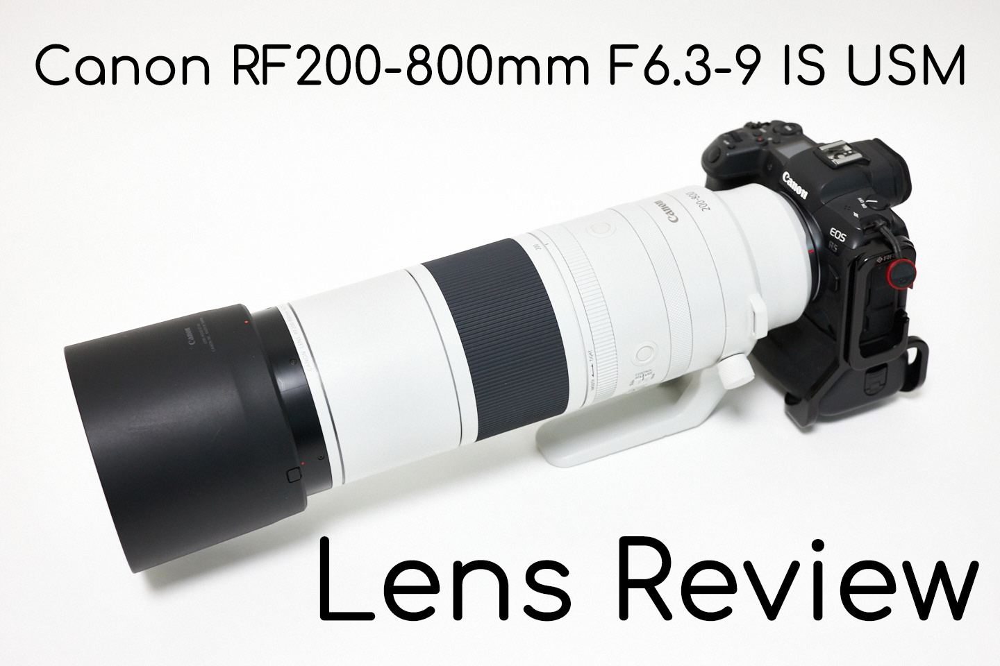 Canon RF200-800mm F6.3-9 IS USM Lens Review